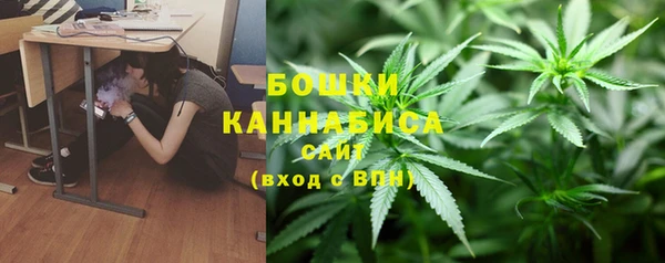 дживик Касимов