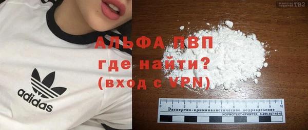 прущие грибы Пестово