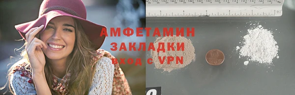 прущие грибы Пестово