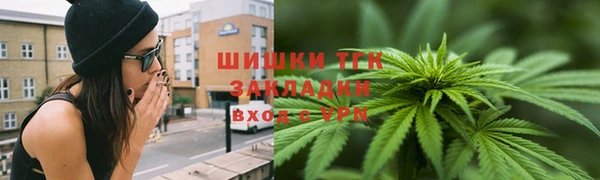 прущие грибы Пестово