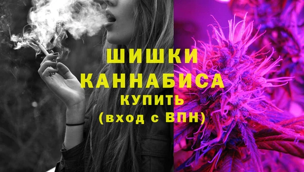 дживик Касимов