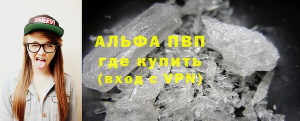 прущие грибы Пестово