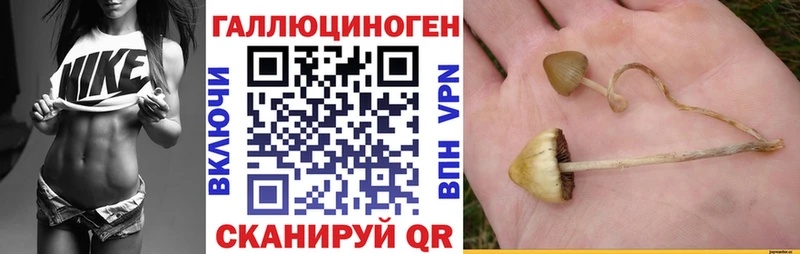 Галлюциногенные грибы ЛСД  Нелидово 